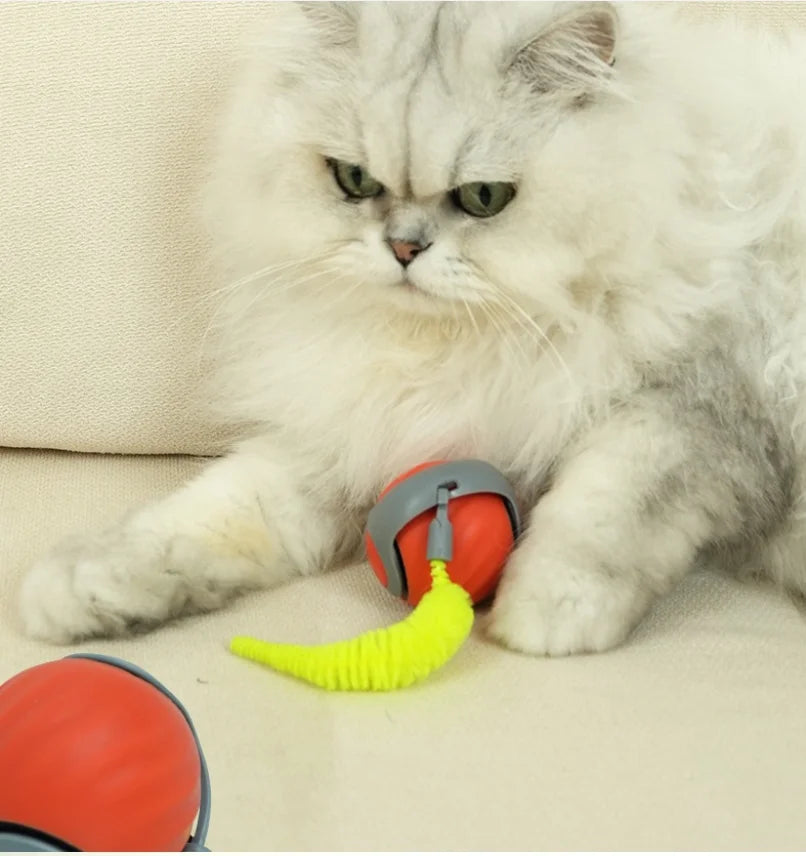 Cat Scratcher Rolling Ball Toy 2in1 Interactive Puzzle