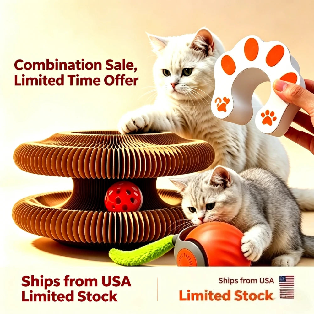 Cat Scratcher Rolling Ball Toy 2in1 Interactive Puzzle
