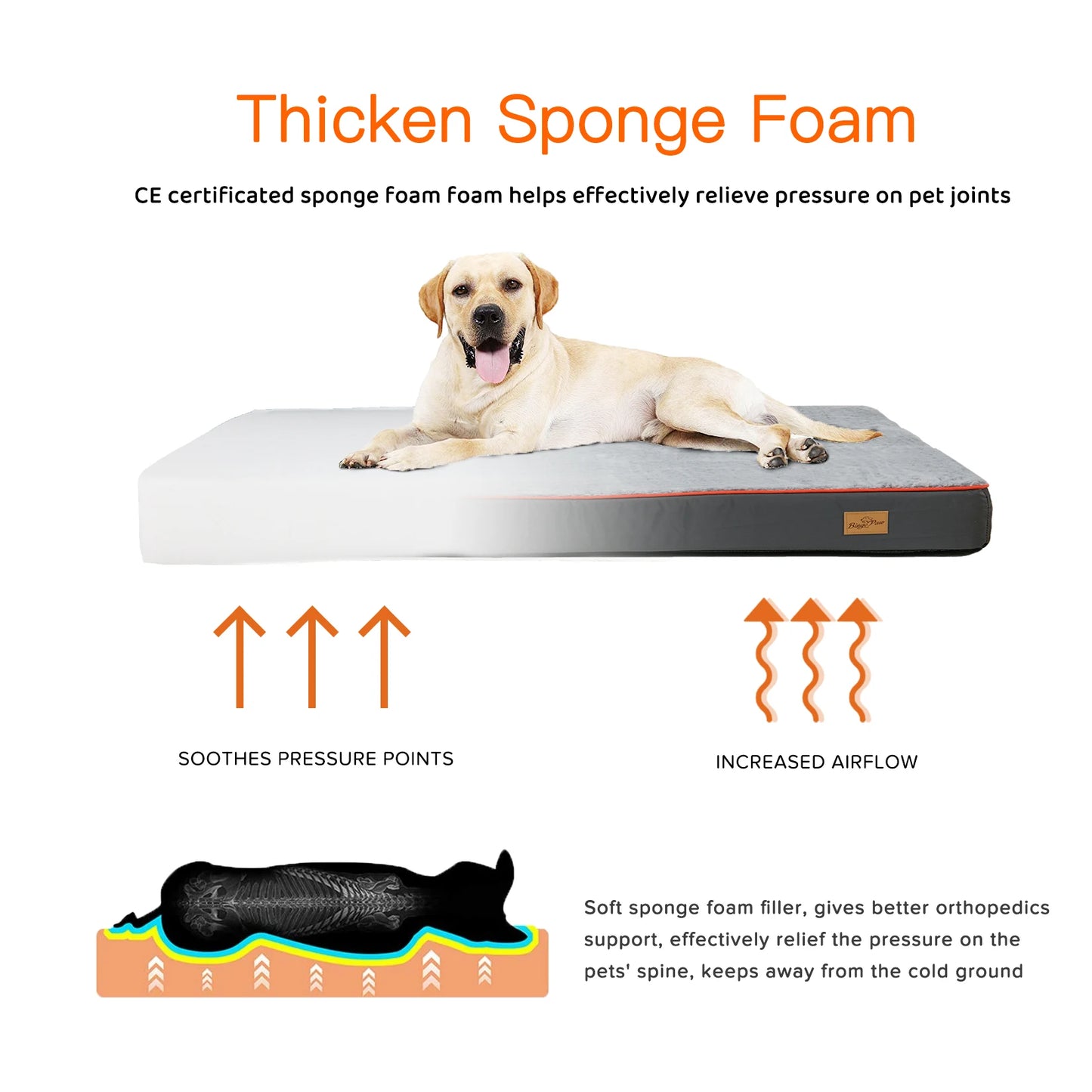 BINGOPAW Orthopedic Dog Bed With Washable Cover And Foam Cushion