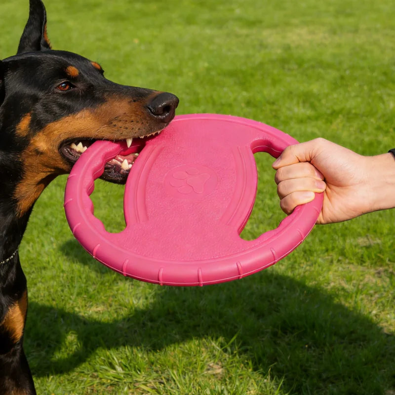 EVA Flying Disc Dog Chew Toy For Training And Dental Health