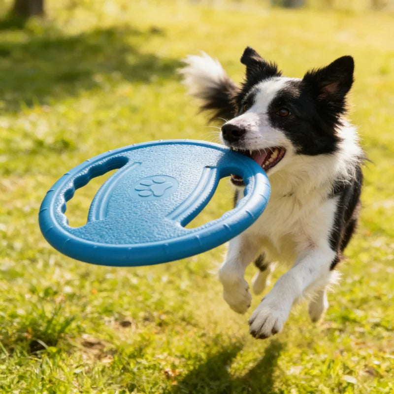 EVA Flying Disc Dog Chew Toy For Training And Dental Health