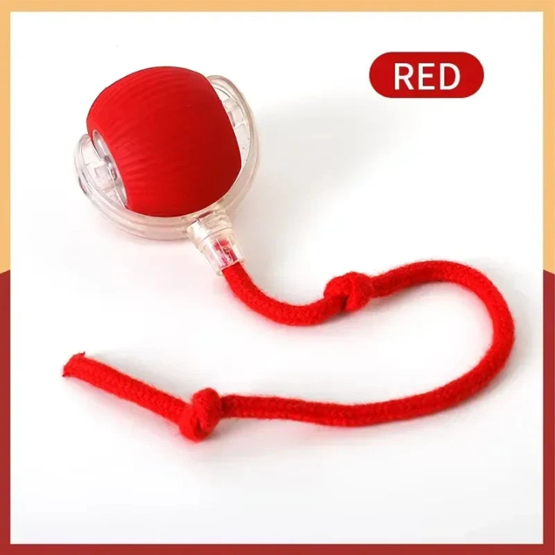 Smart Cat Ball Toy Silicone Interactive Toy