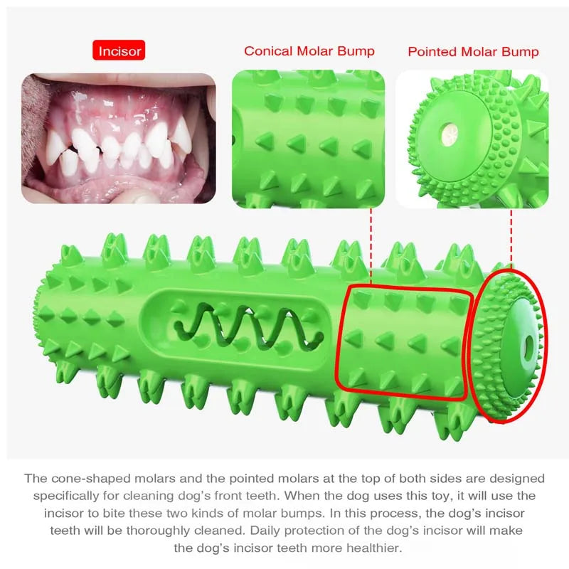 Squeaky Dog Toy Molar Stick For Teeth Cleaning Durable
