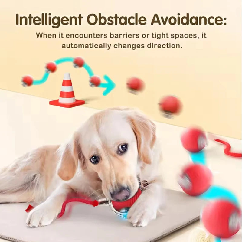 Smart Cat Ball Toy Silicone Interactive Toy