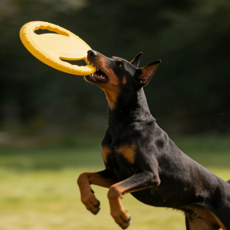 EVA Flying Disc Dog Chew Toy For Training And Dental Health