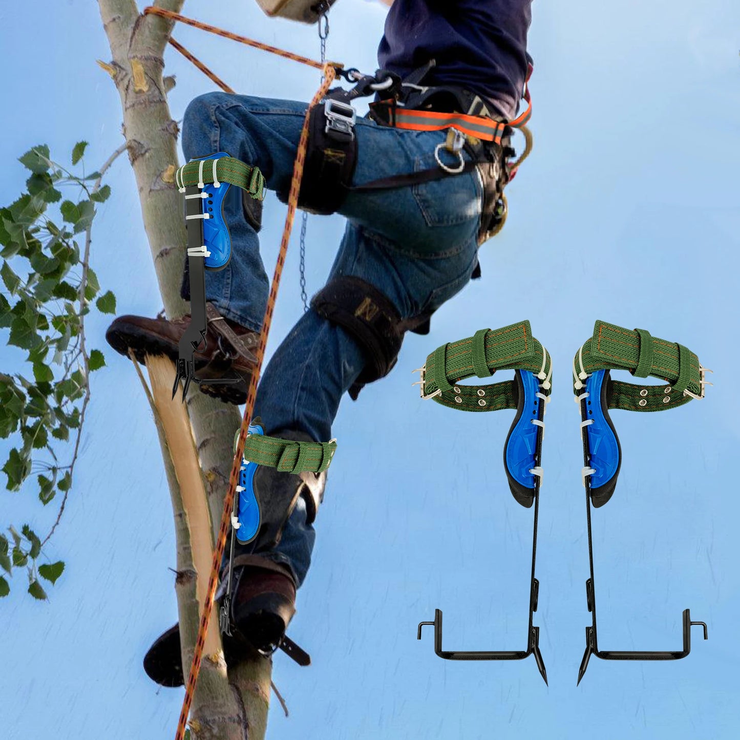 Tree Climbing Spikes Set With Belt And Rope For Arborists